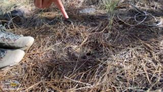 Wild and sexy auburn lesbians pierce crazily each various other&#39;&#39; s asses with plaything